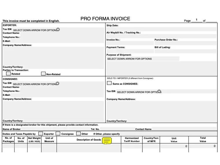 Modelo real de Pro Forma Invoice do curso, pronto para preencher